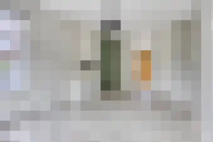 Korhaanstraat 1 C Rotterdam thumbnail 5
