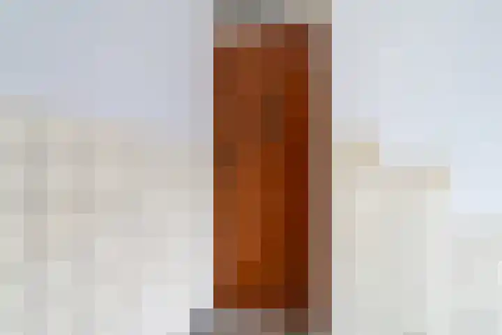 Korhaanstraat 110 C Rotterdam thumbnail 43