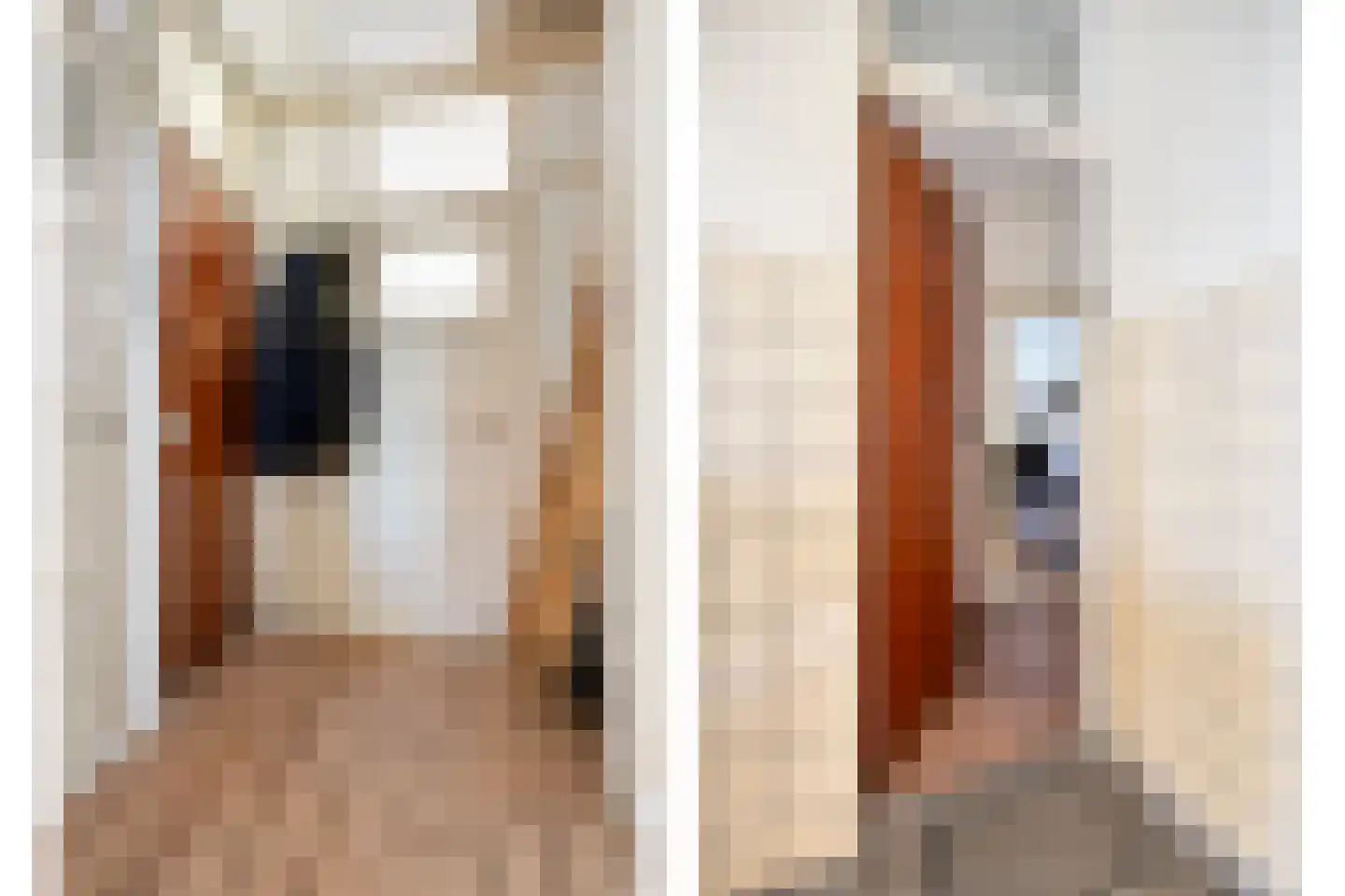 Korhaanstraat 145 B Rotterdam thumbnail 20