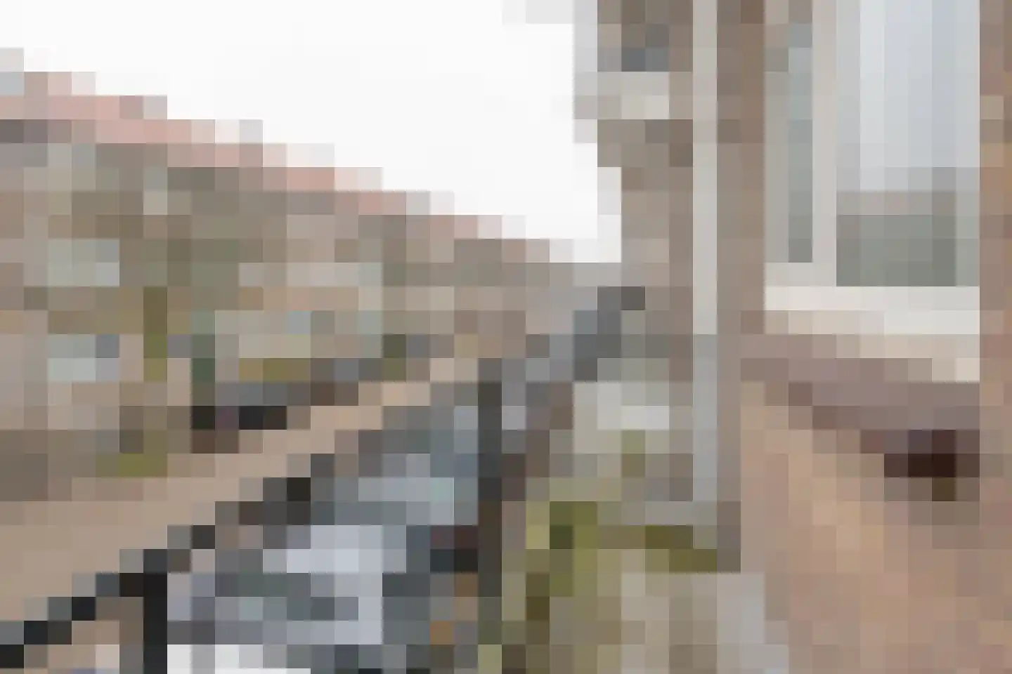 Korhaanstraat 146 B Rotterdam thumbnail 18