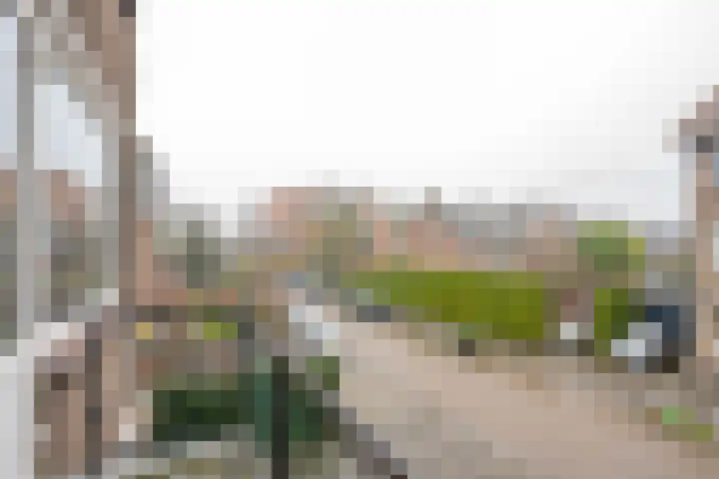 Korhaanstraat 146 B Rotterdam thumbnail 5
