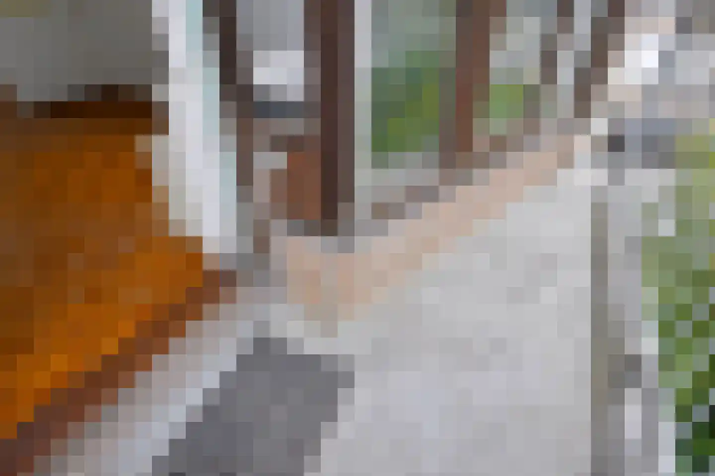 Korhaanstraat 2 B Rotterdam thumbnail 13