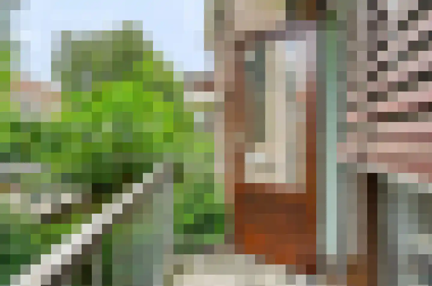 Korhaanstraat 2 B Rotterdam thumbnail 14