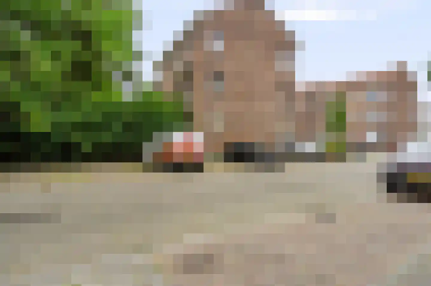 Korhaanstraat 2 B Rotterdam thumbnail 29