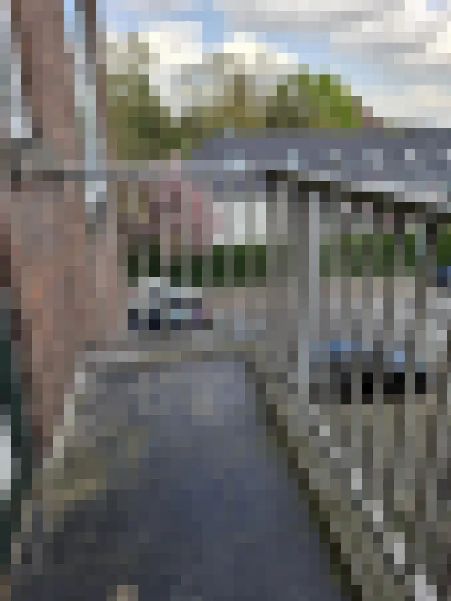 Korhaanstraat 44 A Rotterdam thumbnail 10