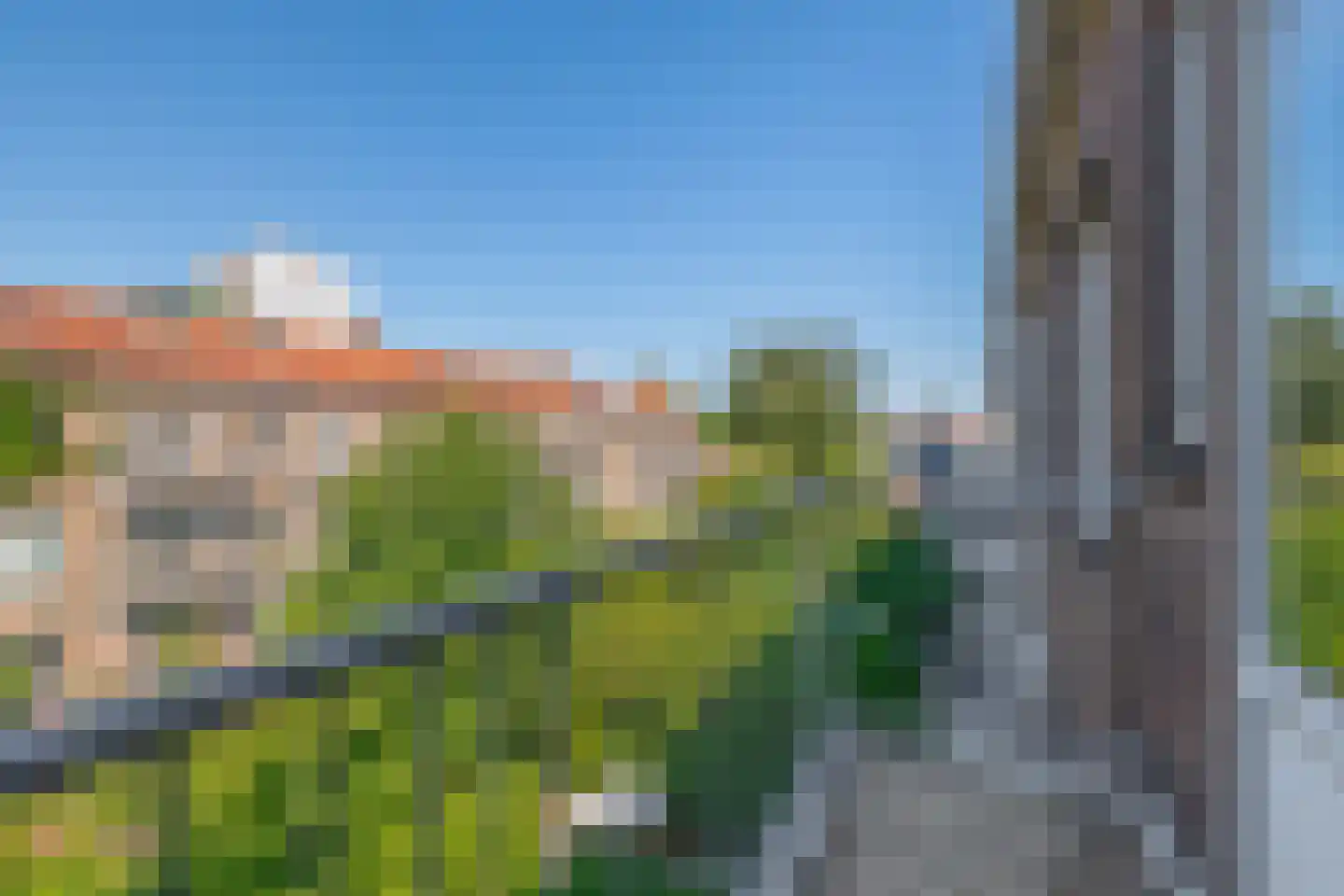 Korhaanstraat 53 C Rotterdam thumbnail 20