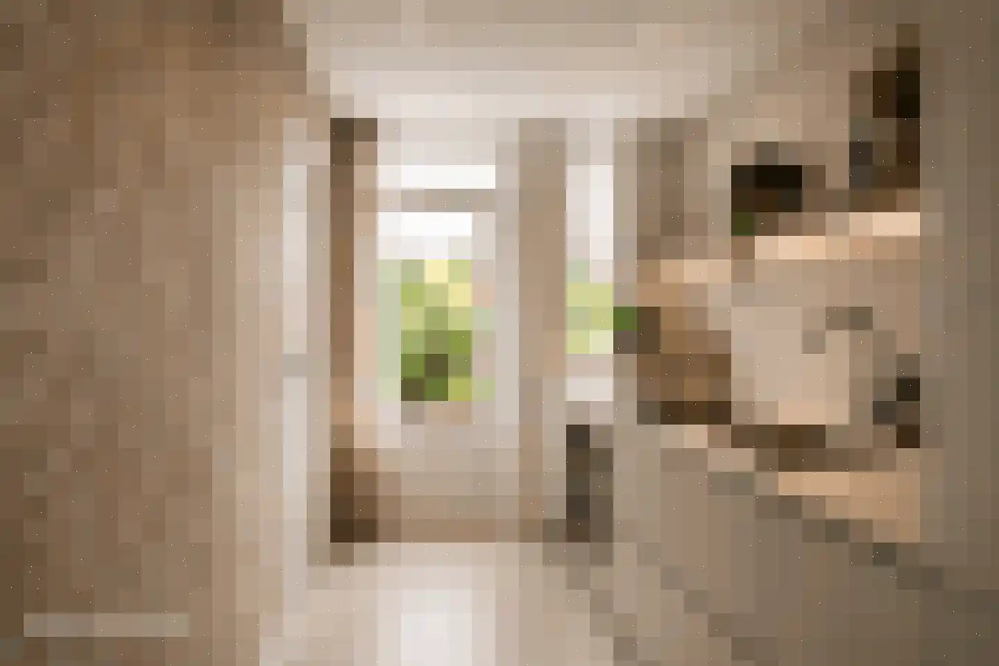 Korhaanstraat 53 C Rotterdam thumbnail 4