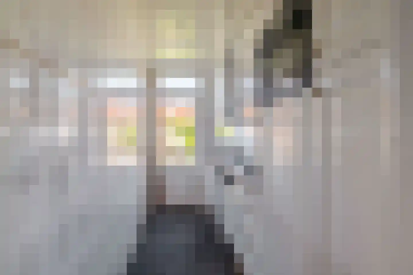 Korhaanstraat 53 C Rotterdam thumbnail 5