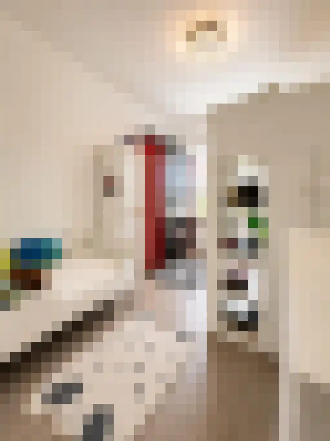 Korhaanstraat 55 B Rotterdam thumbnail 5