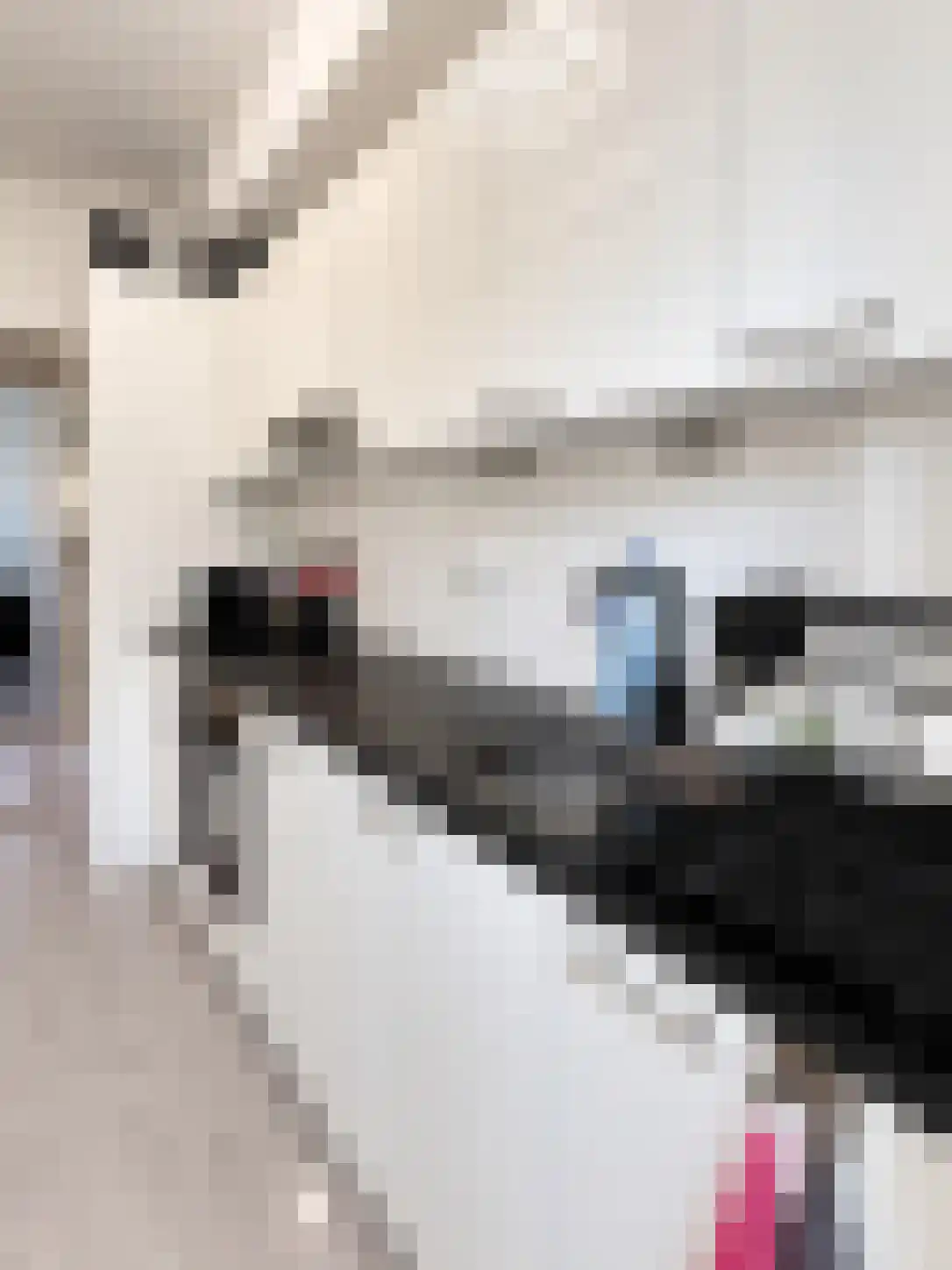 Korhaanstraat 55 B Rotterdam thumbnail 7