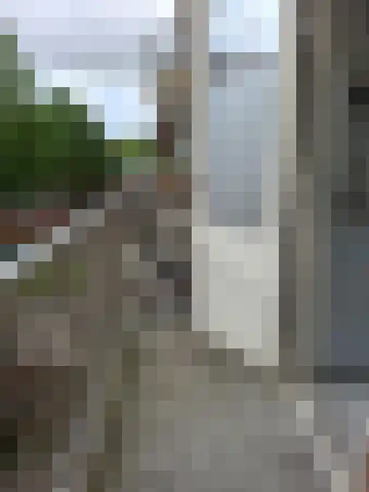 Korhaanstraat 62 A Rotterdam thumbnail 12