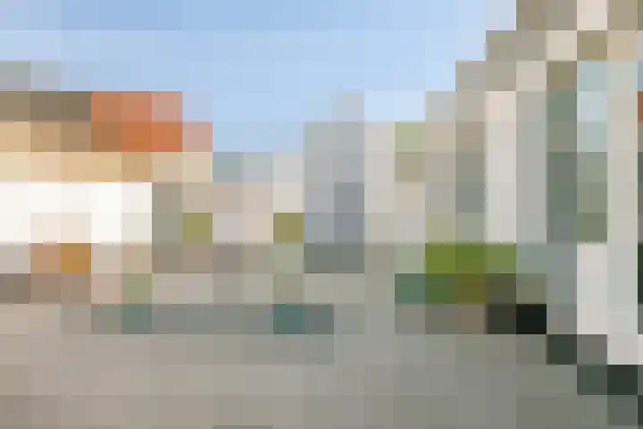 Korhaanstraat 62 A Rotterdam thumbnail 14