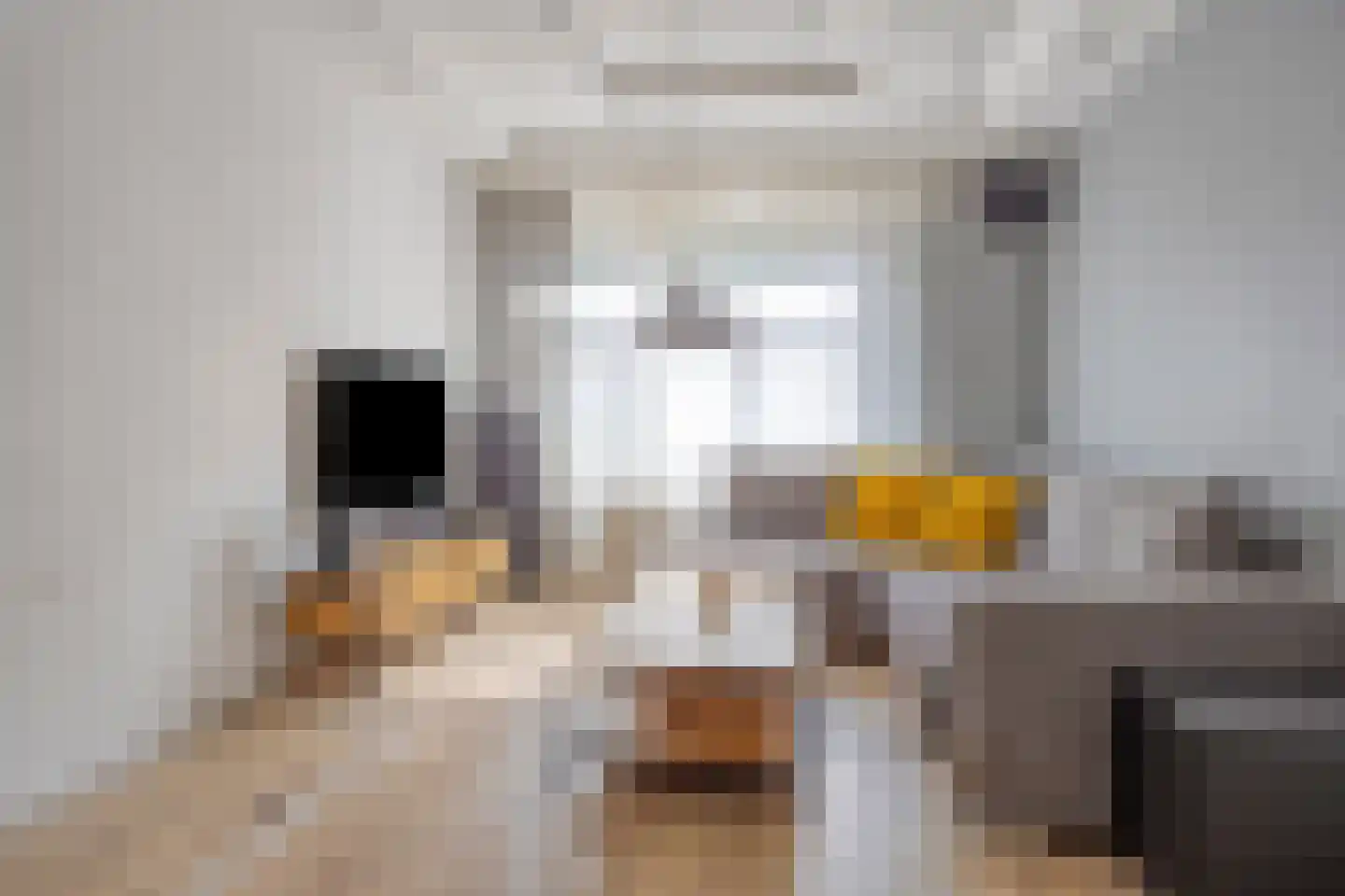 Korhaanstraat 77 A Rotterdam thumbnail 4