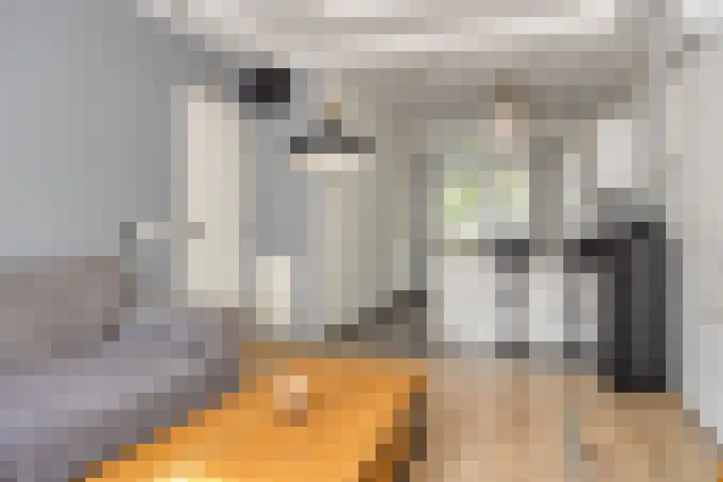 Korhaanstraat 77 A Rotterdam thumbnail 7