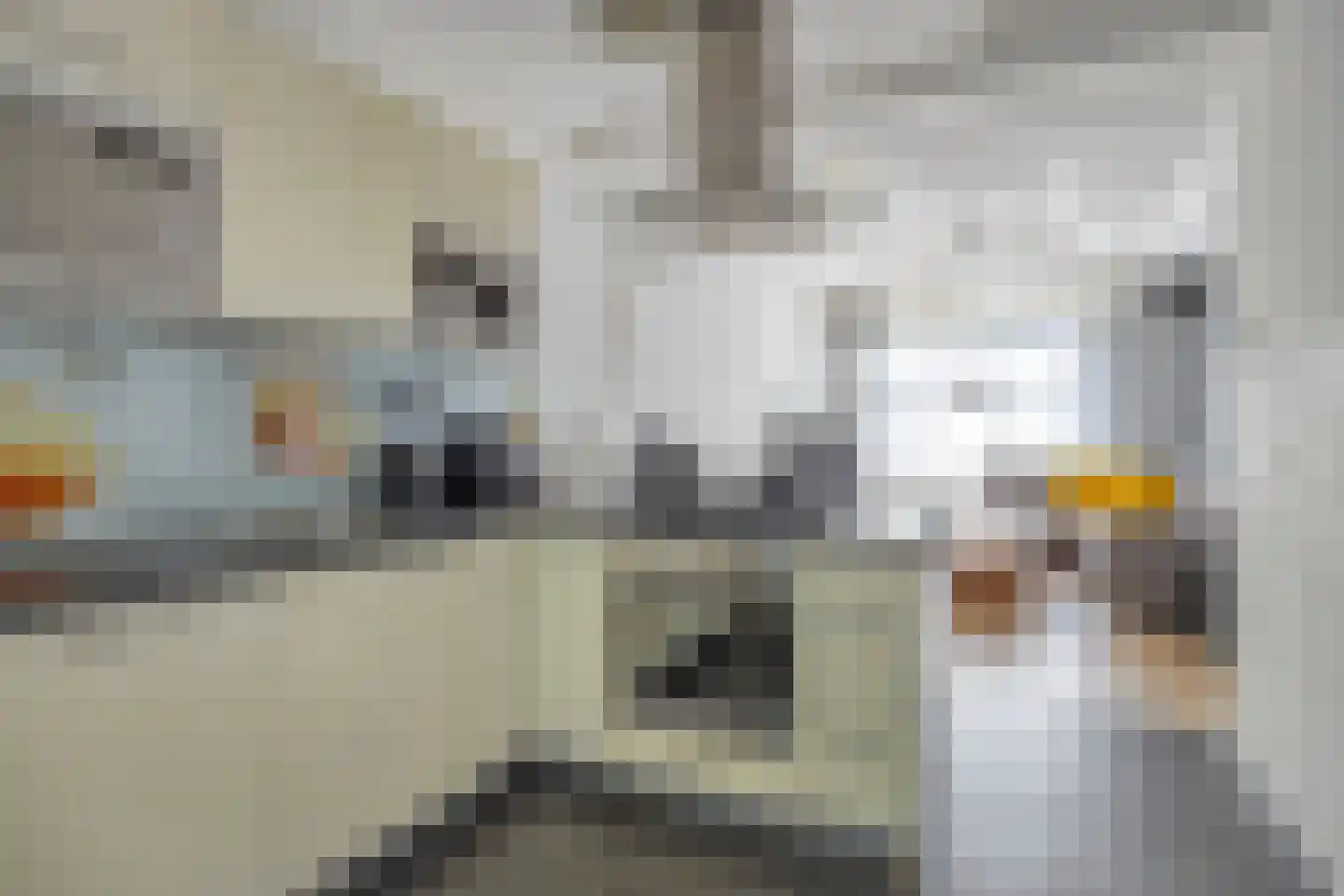 Korhaanstraat 77 A Rotterdam thumbnail 9