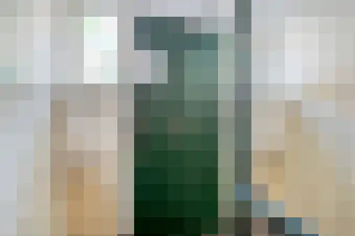 Korhaanstraat 79 A Rotterdam thumbnail 6