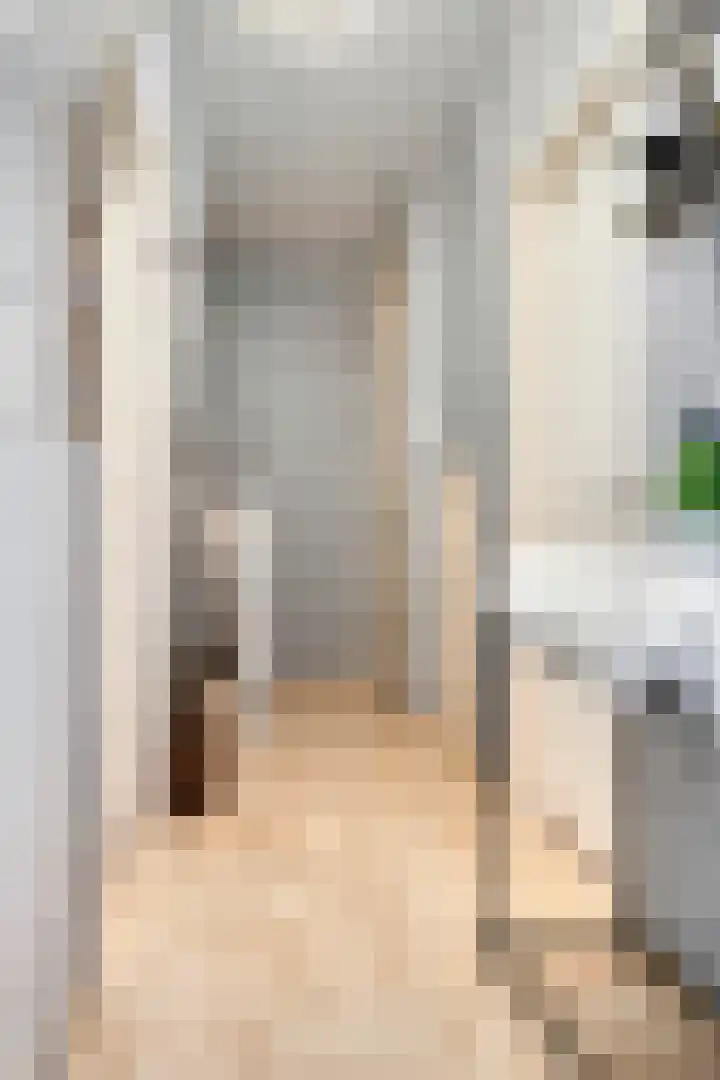 Korhaanstraat 79 A Rotterdam thumbnail 8