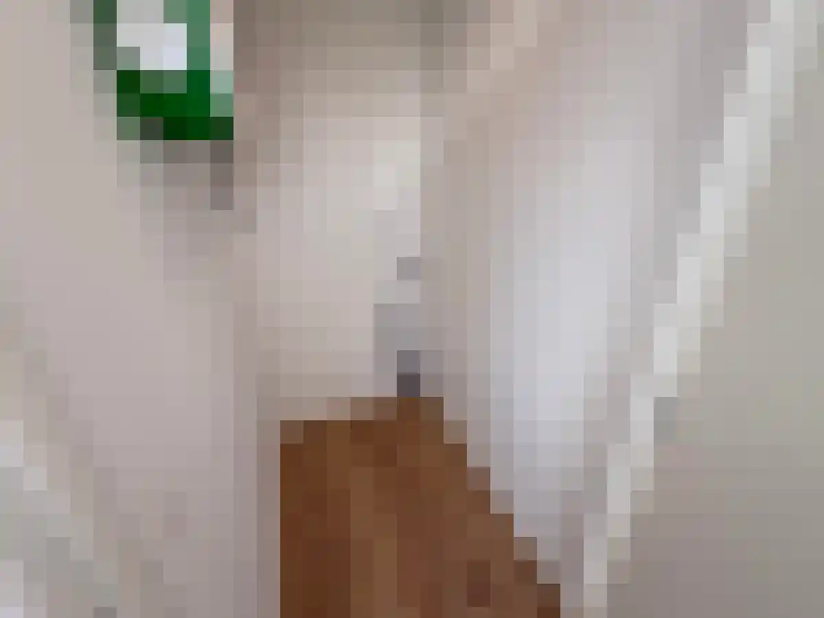 Korhaanstraat 85 Rotterdam thumbnail 5