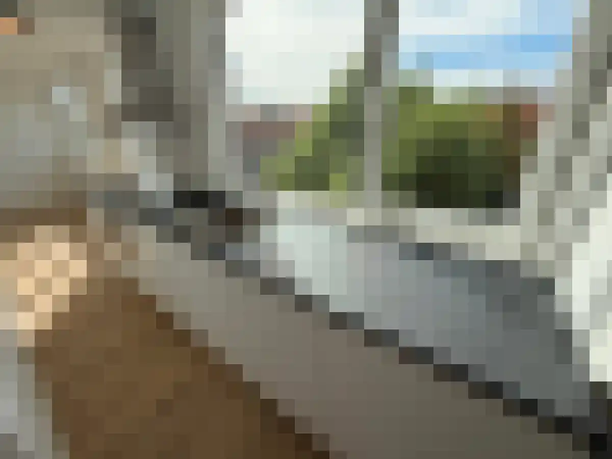 Korhaanstraat 85 Rotterdam thumbnail 6