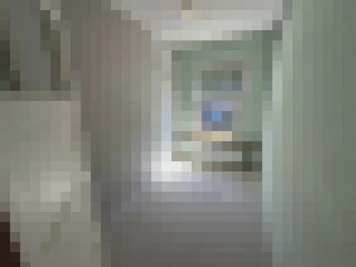 Korhaanstraat 87 Rotterdam thumbnail 5
