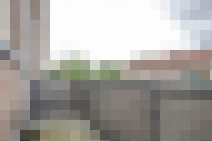 Korhaanstraat 93 A Rotterdam thumbnail 16