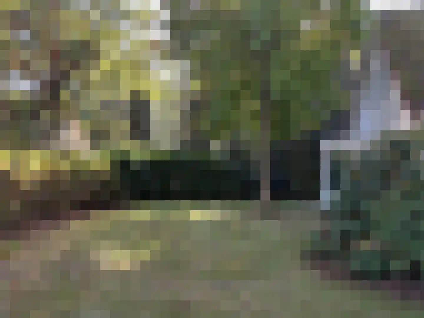 Korhoen 10 Sibculo thumbnail 4