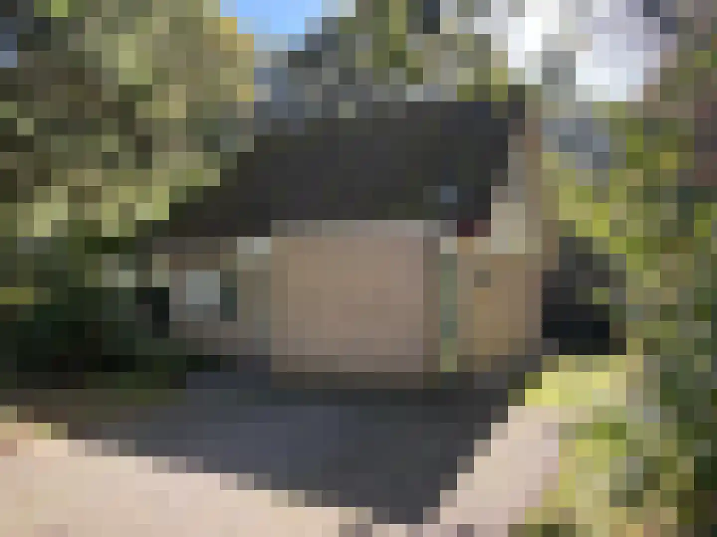 Korhoen 10 Sibculo thumbnail 5