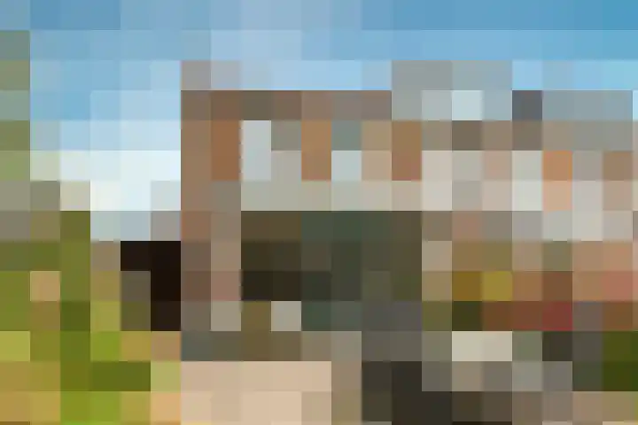 Korhoen 11 Berkel en Rodenrijs thumbnail 36