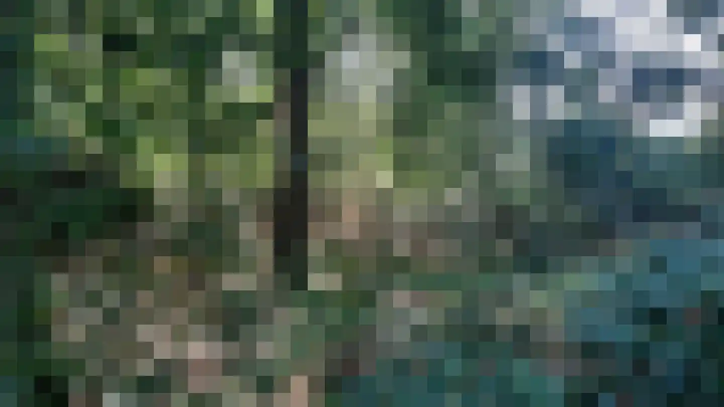 Korhoen 12 Sibculo thumbnail 4