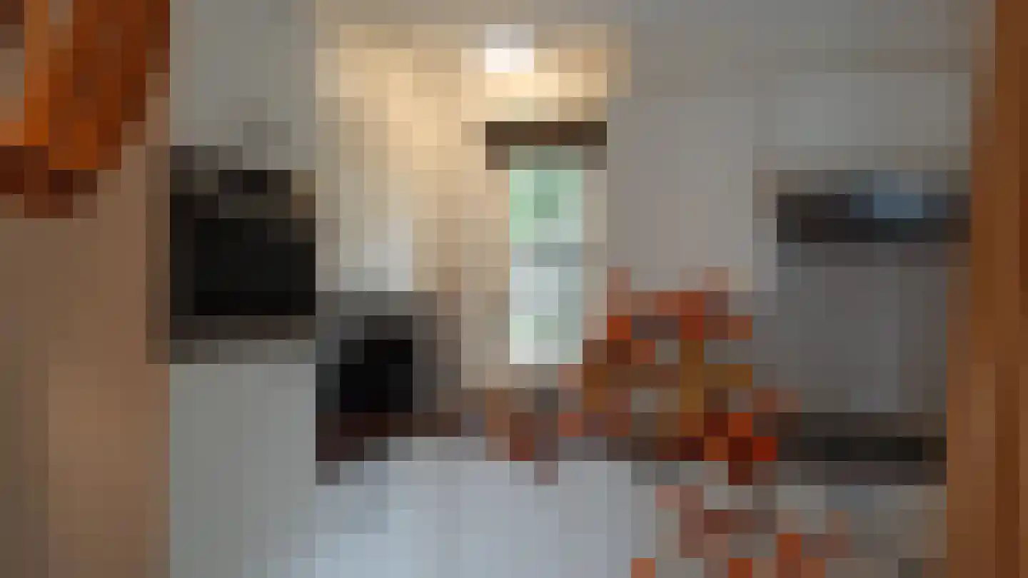 Korhoen 12 Sibculo thumbnail 9
