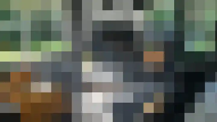 Korhoen 14 Sibculo thumbnail 10
