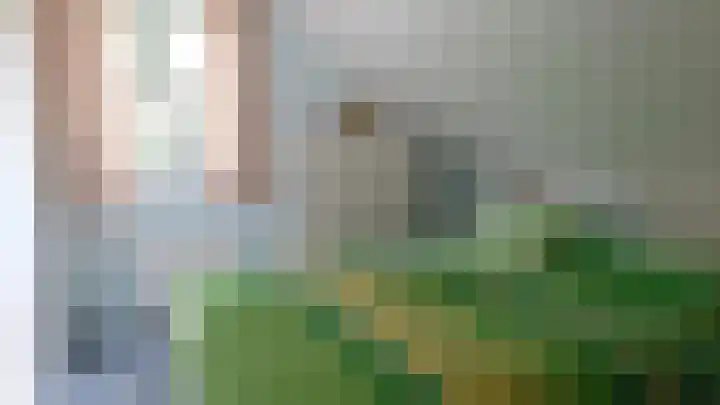 Korhoen 14 Sibculo thumbnail 17
