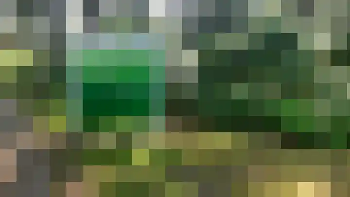 Korhoen 14 Sibculo thumbnail 34