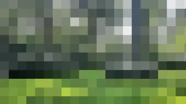 Korhoen 14 Sibculo thumbnail 6