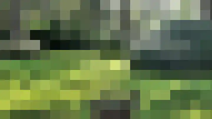 Korhoen 14 Sibculo thumbnail 7