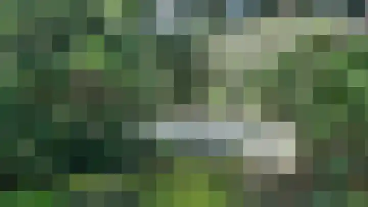 Korhoen 14 Sibculo thumbnail 8
