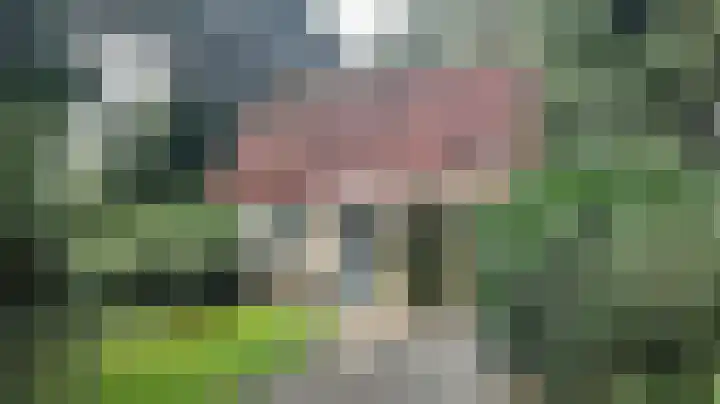 Korhoen 14 Sibculo thumbnail 9