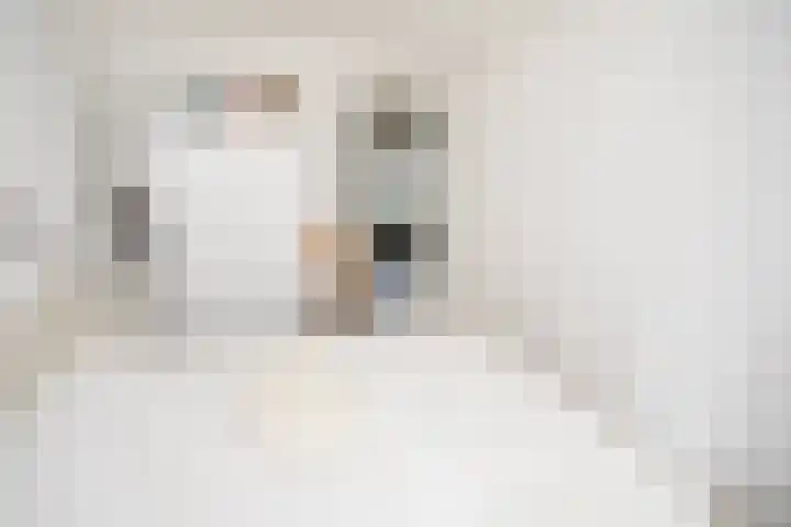Korhoen 18 Sibculo thumbnail 10