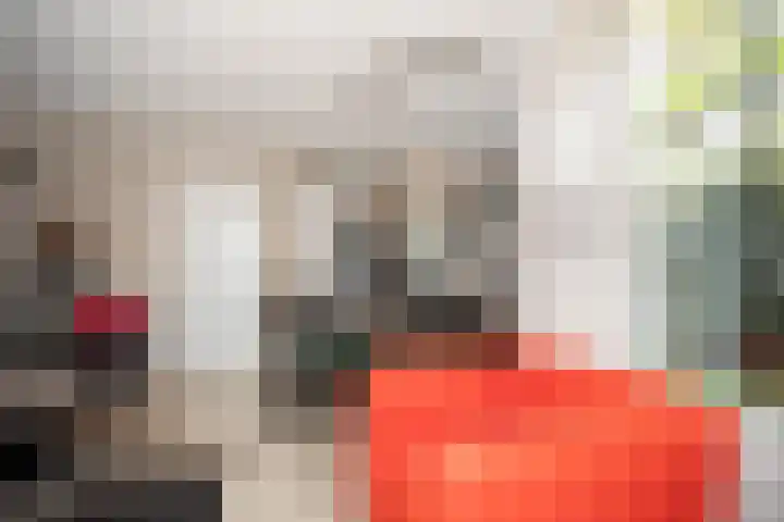 Korhoen 18 Sibculo thumbnail 14