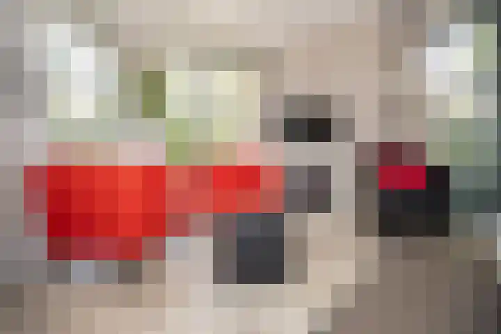Korhoen 18 Sibculo thumbnail 15