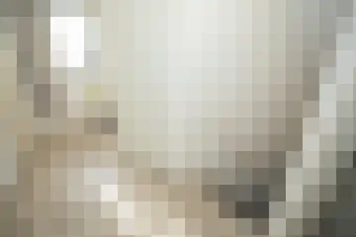 Korhoen 18 Sibculo thumbnail 20