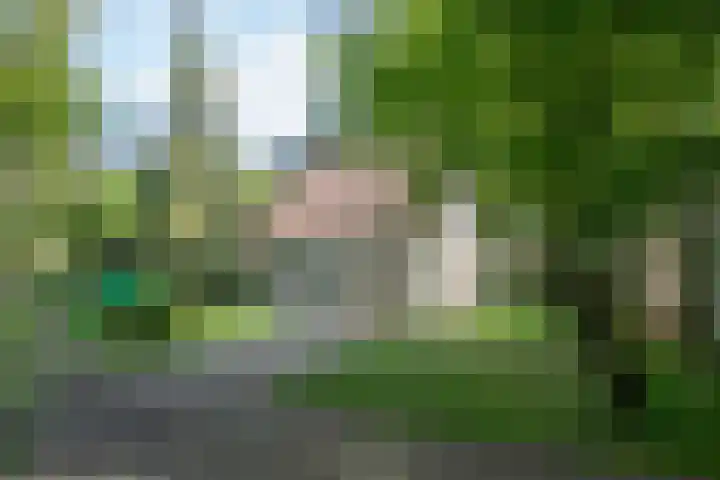 Korhoen 18 Sibculo thumbnail 29