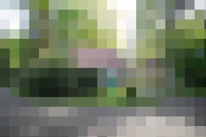 Korhoen 18 Sibculo thumbnail 30