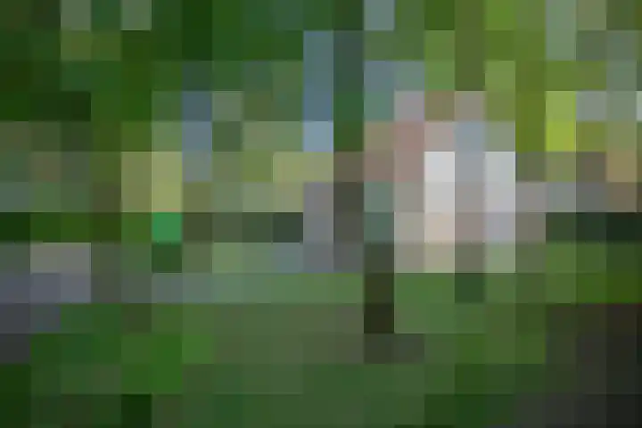 Korhoen 18 Sibculo thumbnail 31