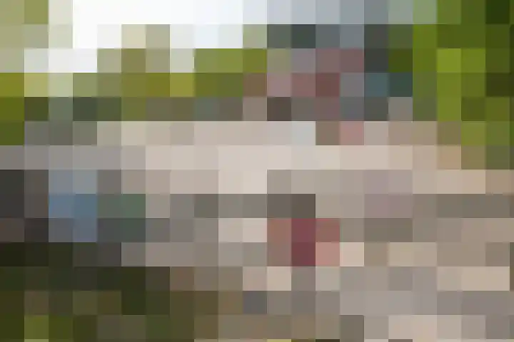 Korhoen 18 Sibculo thumbnail 35