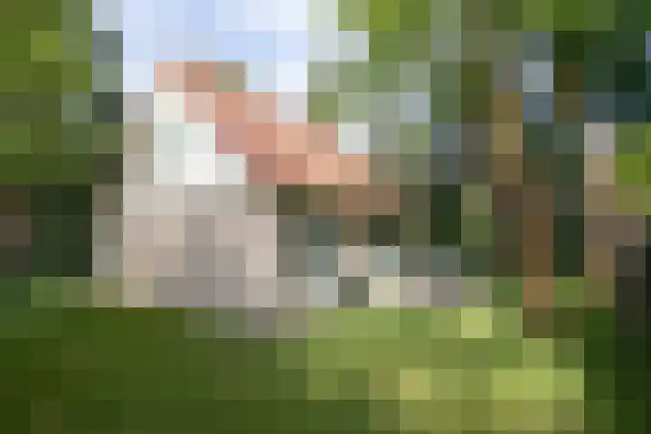 Korhoen 18 Sibculo thumbnail 4
