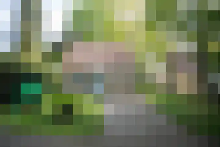 Korhoen 18 Sibculo thumbnail 5