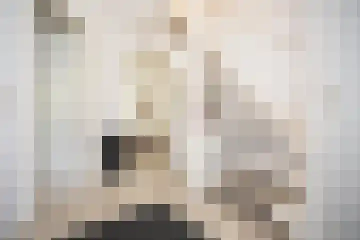 Korhoen 18 Sibculo thumbnail 8