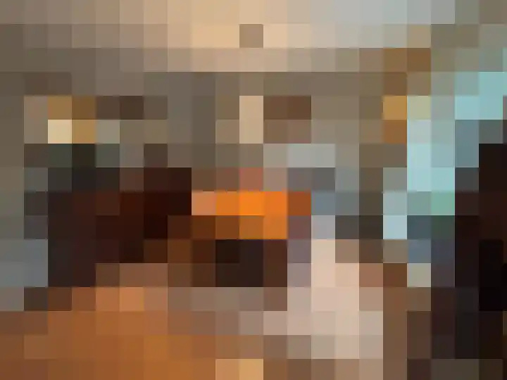 Korhoen 21 Sibculo thumbnail 10