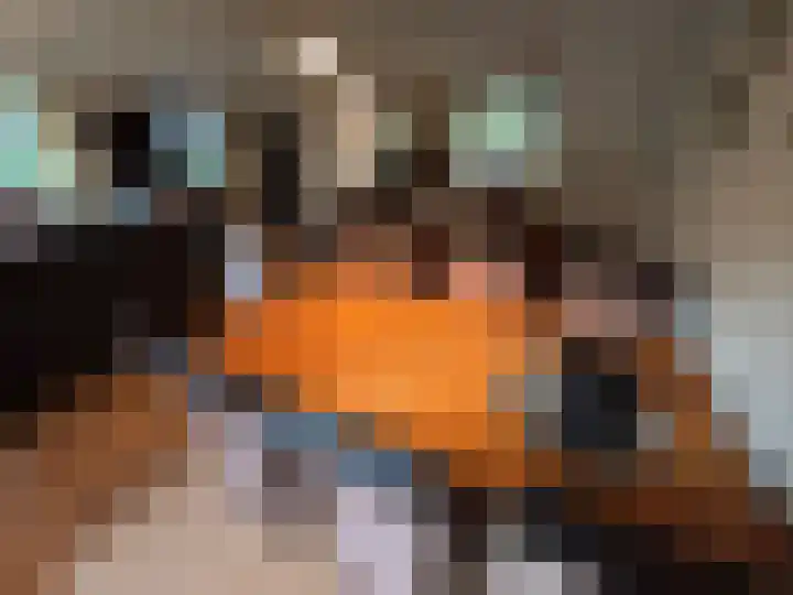 Korhoen 21 Sibculo thumbnail 11